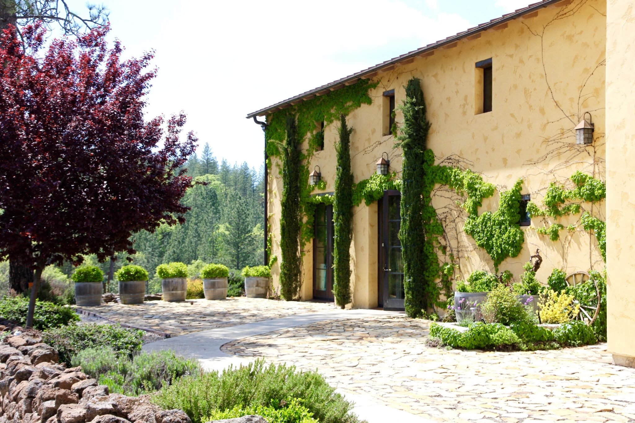 Miraflores Winery - Alvarez Vineyards Banner